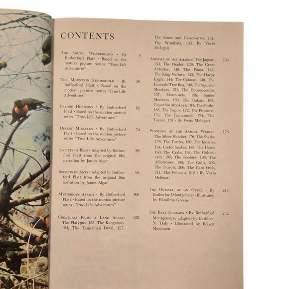 Walt Disney Boxed Book Set The Wonderful Worlds Of 1965 READ - Picture 15 of 16